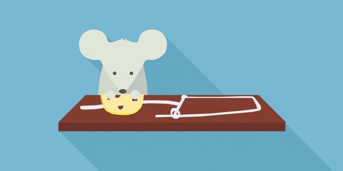 Создание сайтов бесплатно