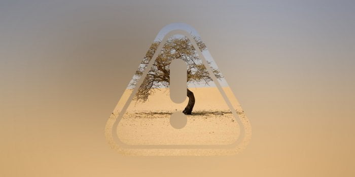 Как завладеть вниманием людей